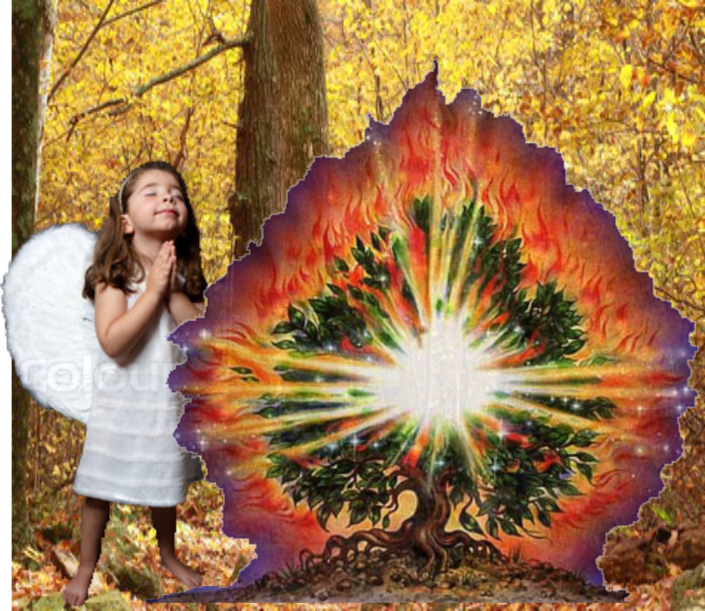 A pictue of a barefoot child gazing tranfixed in pryer, at a burning bush.